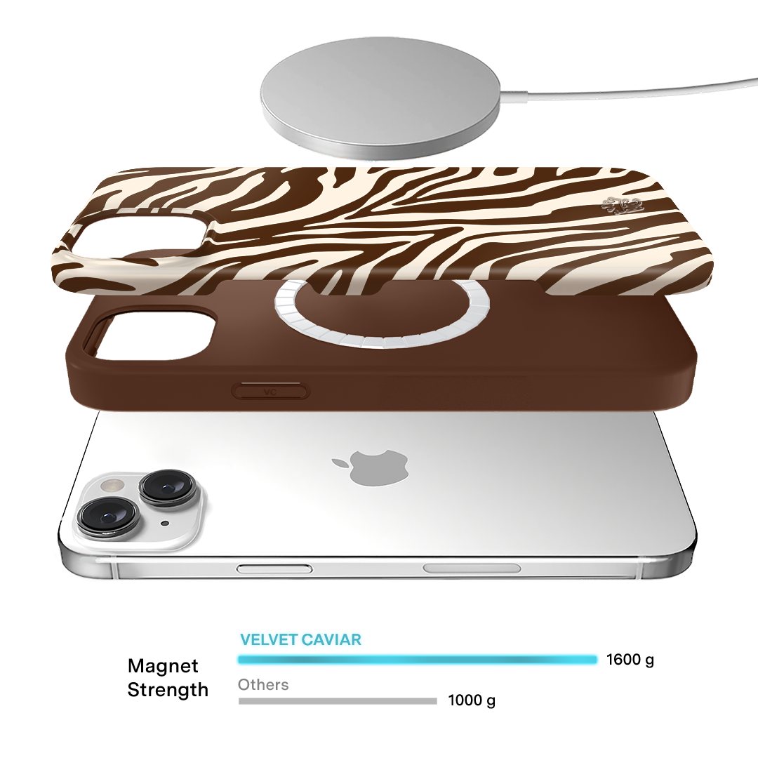 Coco Zebra iPhone Case