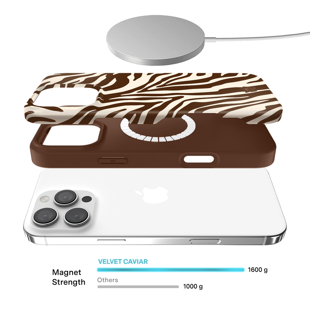 Coco Zebra iPhone Case