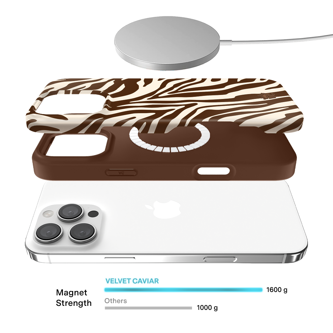 Coco Zebra iPhone Case