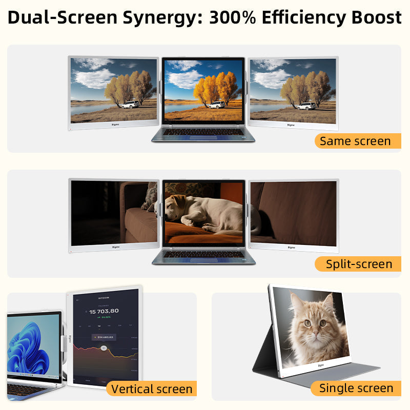 Black Friday Sale--B13-- World's First 13.3" Color ePaper Monitor-Single Screen