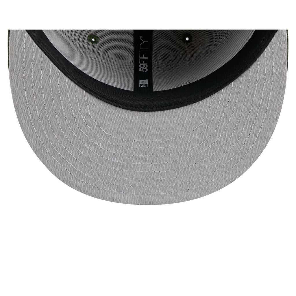 Hudson Valley Renegades Theme Night Tan 59FIFTY Fitted Hat - Image 7