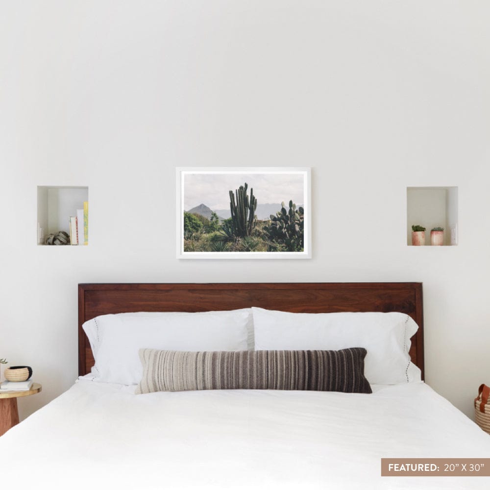 Oaxaca .01 - 20'' x 30'' / White Frame