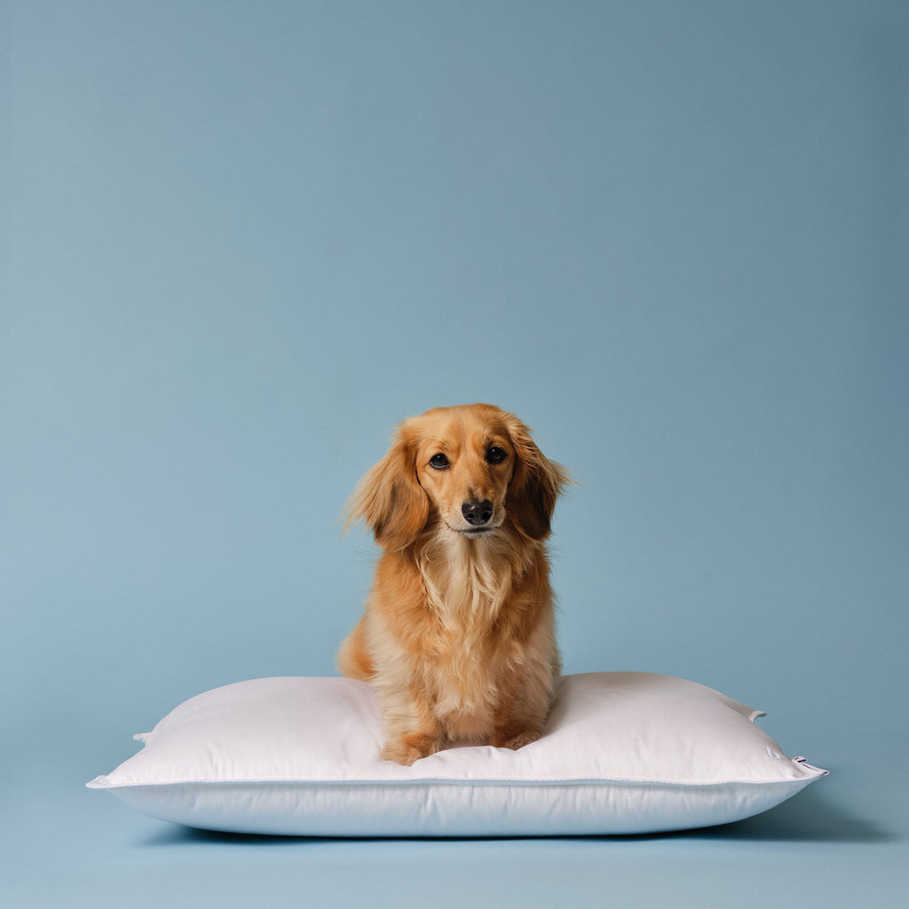 Down Pillow - Image 5