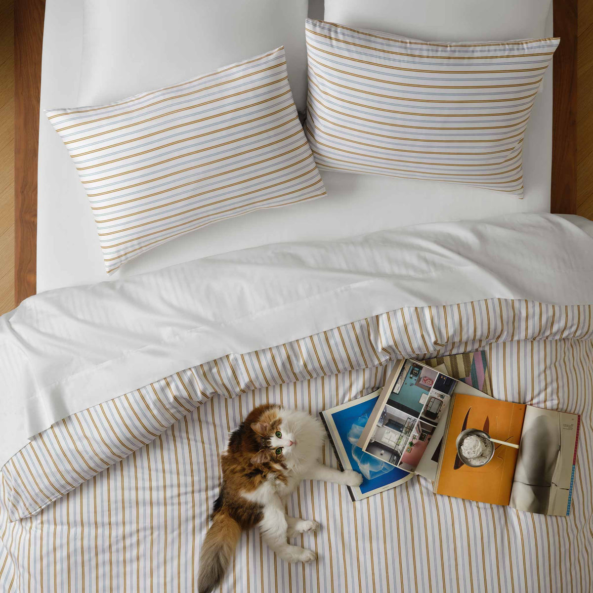 Luxe Sateen Fitted Sheet - Image 56
