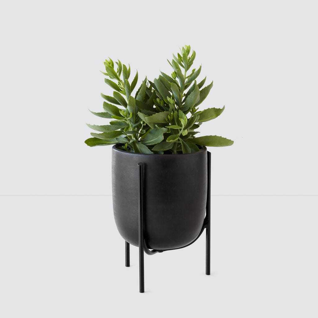 Cantaro Pots - Multiple Sizes - Image 6