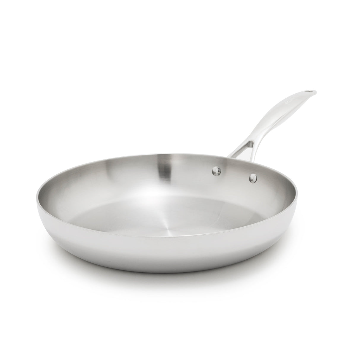 Valencia Pro Stainless Steel Uncoated 12" Frypan