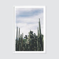 Oaxaca .03 - White Frame