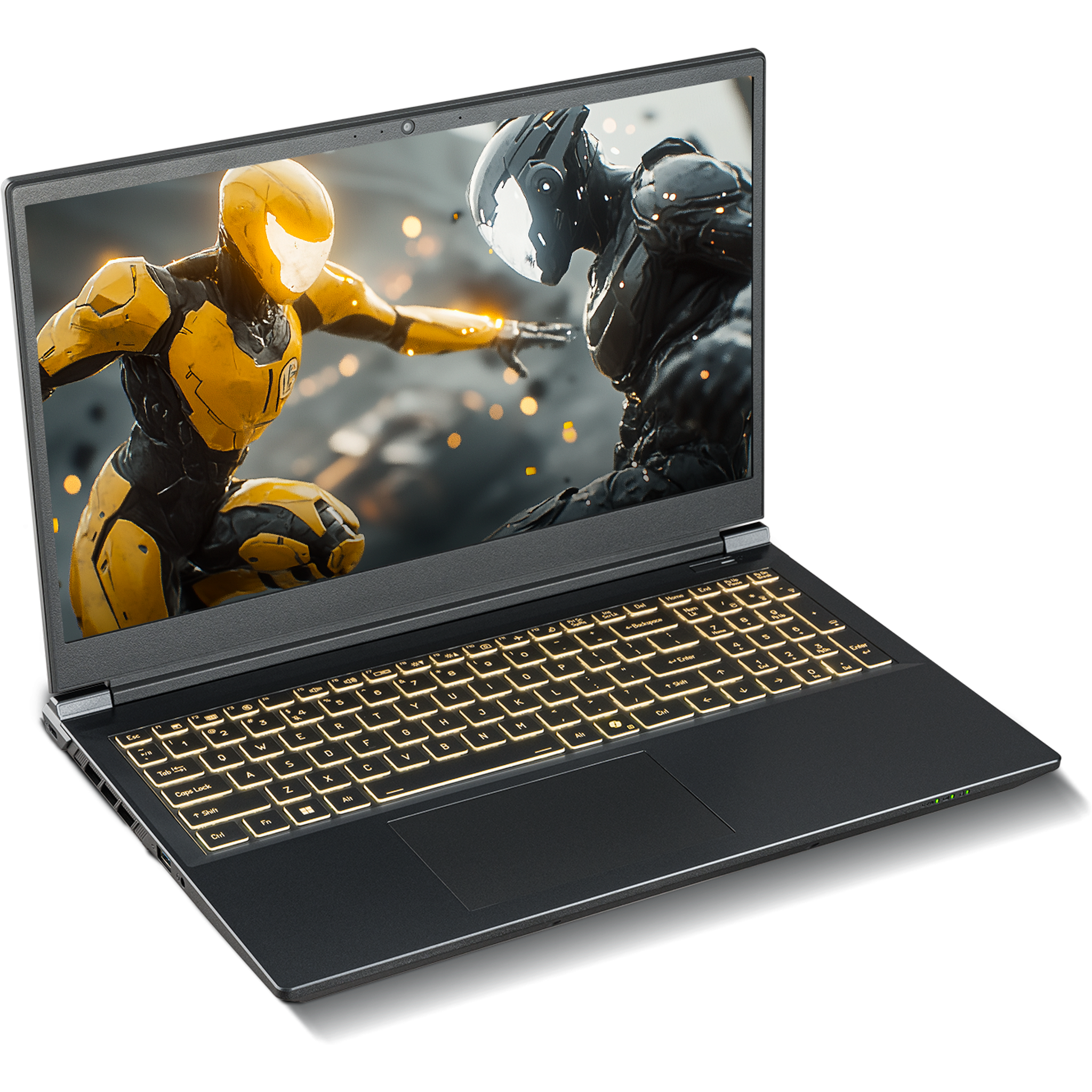 SAGER NP7551M (Clevo V350WNMQ) Gaming Laptop