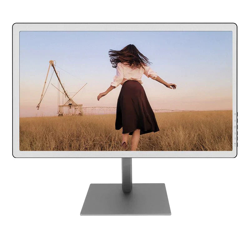 B251 - Bigme 25-inch Color E INK Monitor with Kaleido 3